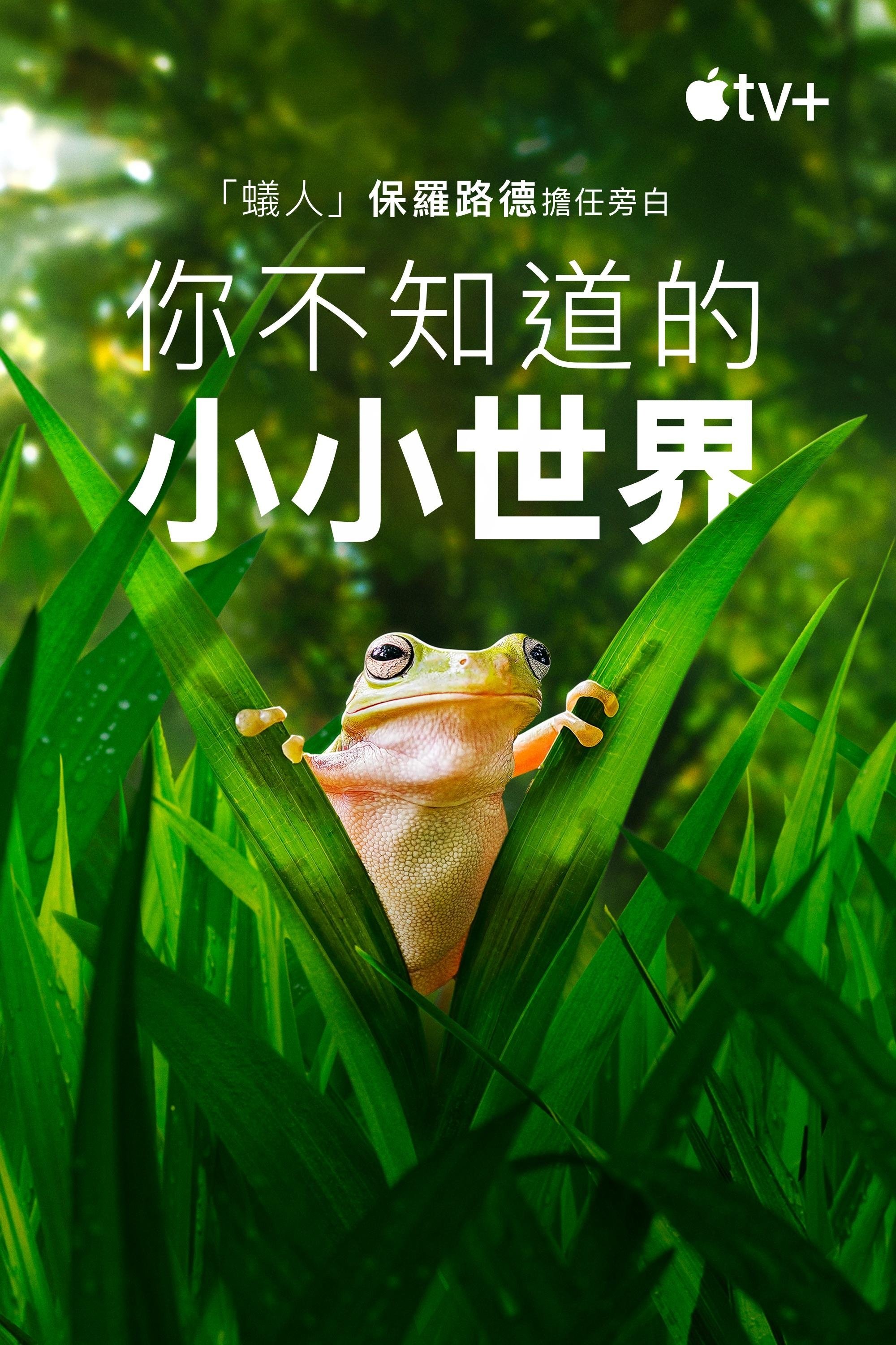 小小世界